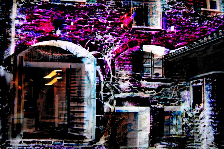 QGCuiseaux IMG_1228 copie