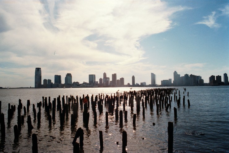QGriva degli Schiavoni copie